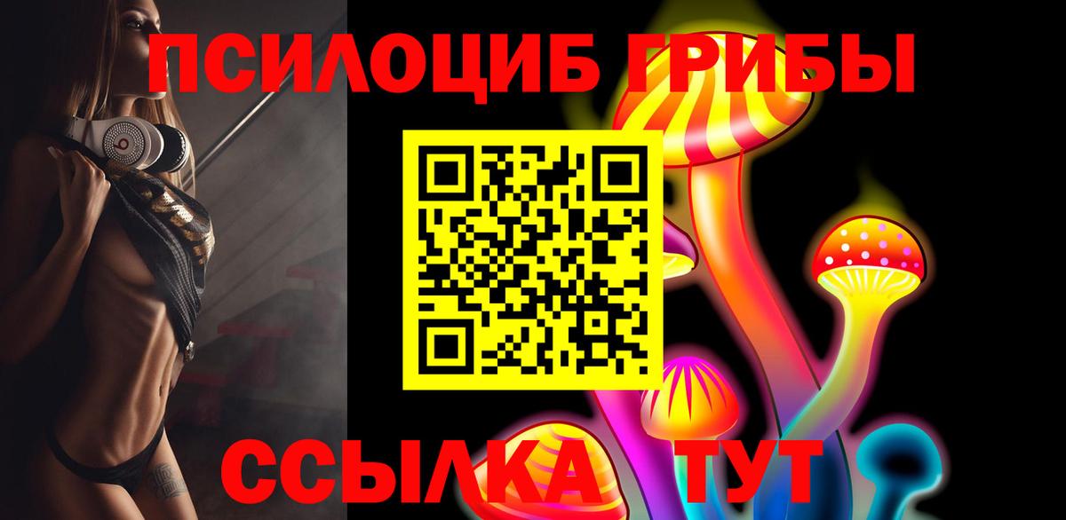 Псилоцибиновые грибы мухоморы  Псилоцибиновые грибы GOLDEN TEACHER  купить наркотик  Кызыл  Вход с VPN 